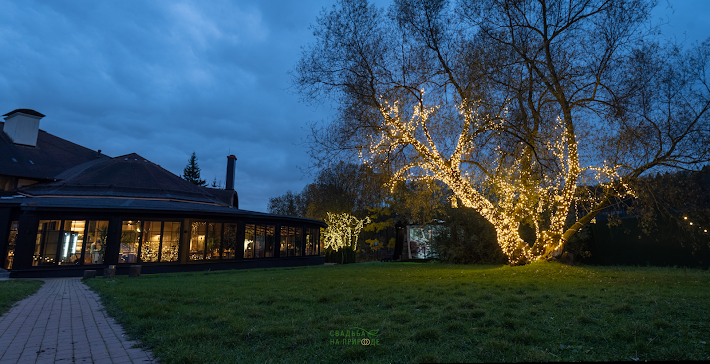 Фото №4 зала Веранда