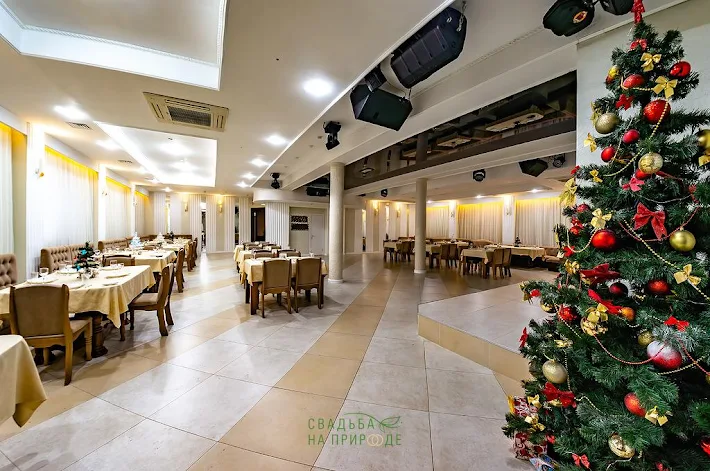 Фото №1 зала Зал ресторана