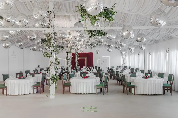 Фото №4 зала Зал «Аэлита» 