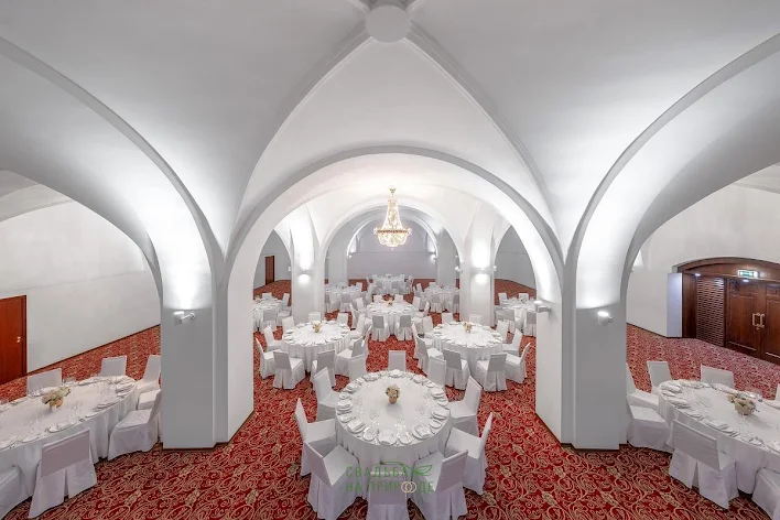 Фото №1 зала Зал «Онегин» 