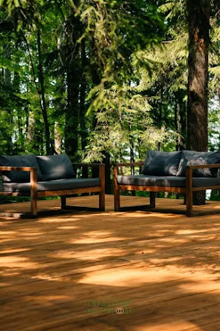 Фото №2 зала Сфера в лесу