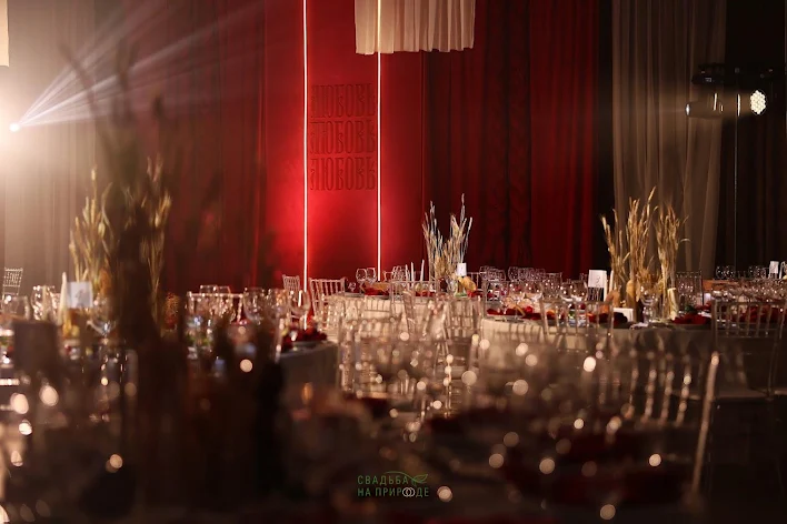 Фото №4 зала Зал «Платина» 