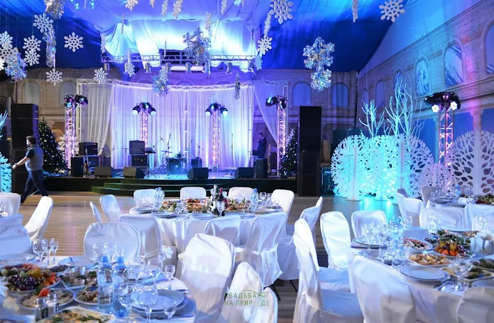 Фото №4 зала Большой банкетный зал