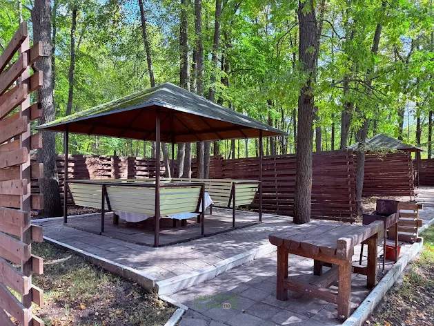 Фото №1 зала Летняя веранда