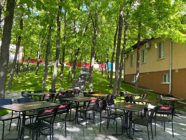 Фото №1 зала Кафе