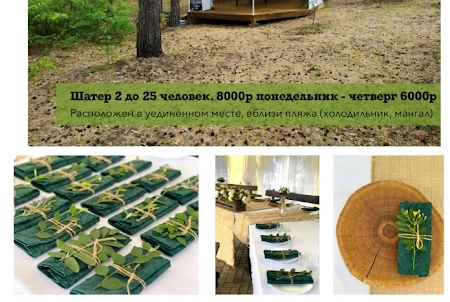 Свадьба на природе в «Сосновый Бор»