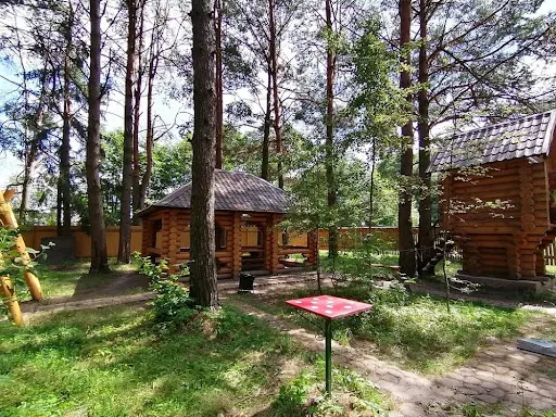 Свадьба на природе в «Раздолье»