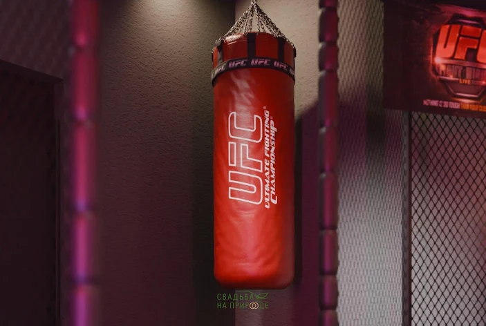 Фото №1 зала Лофт «UFC» 