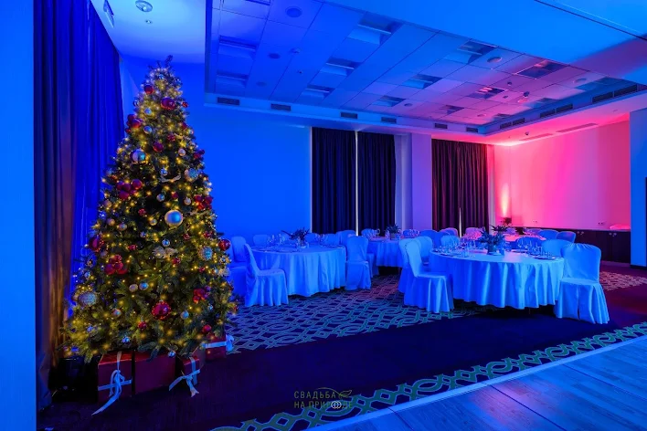 Фото №1 зала Зал «Волга» 