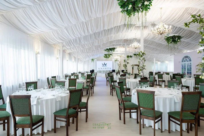 Фото №1 зала Зал «Аэлита» 