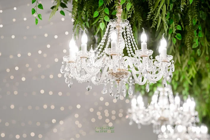 Фото №3 зала Зал «Весна» 