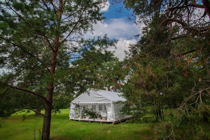 Фото №3 зала Шатер