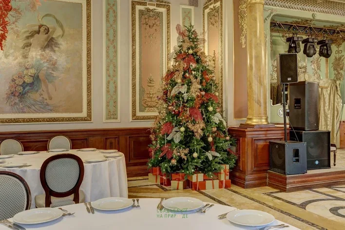 Фото №1 зала Зеленый зал