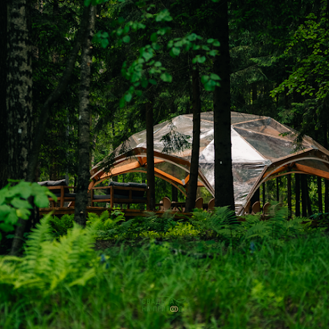 Фото №1 зала Сфера в лесу