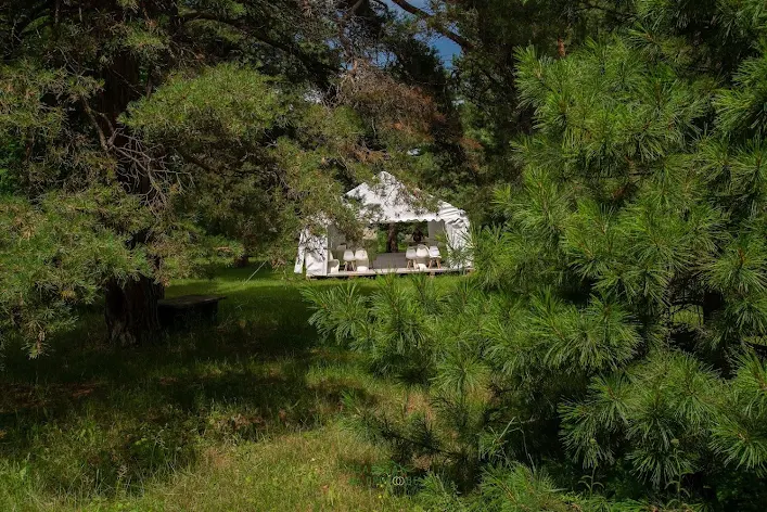 Фото №4 зала Шатер