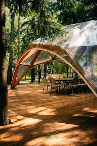 Фото №1 зала Сфера в лесу