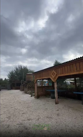 Фото №1 зала Квест-территория деревянный комплекс