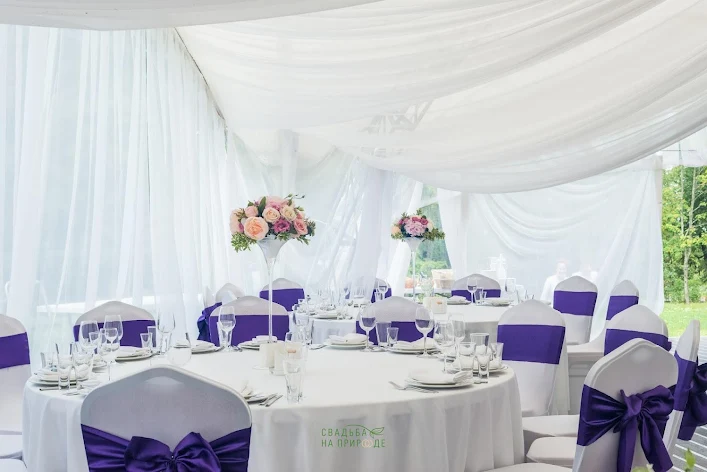 Фото №3 зала Шатер sky