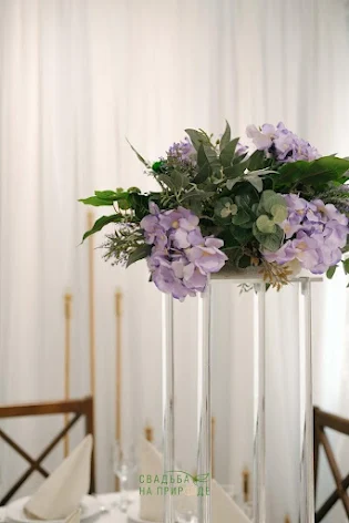 Фото №1 зала Зал «Енисей» 