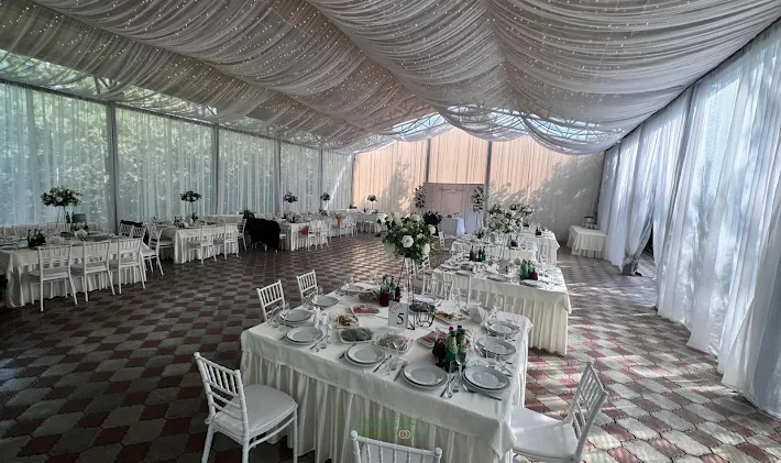 Фото №2 зала Зал «Лесной» 