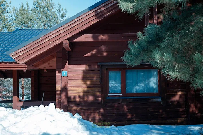 Фото №2 зала Альпийские дома «Центральный поселок» 