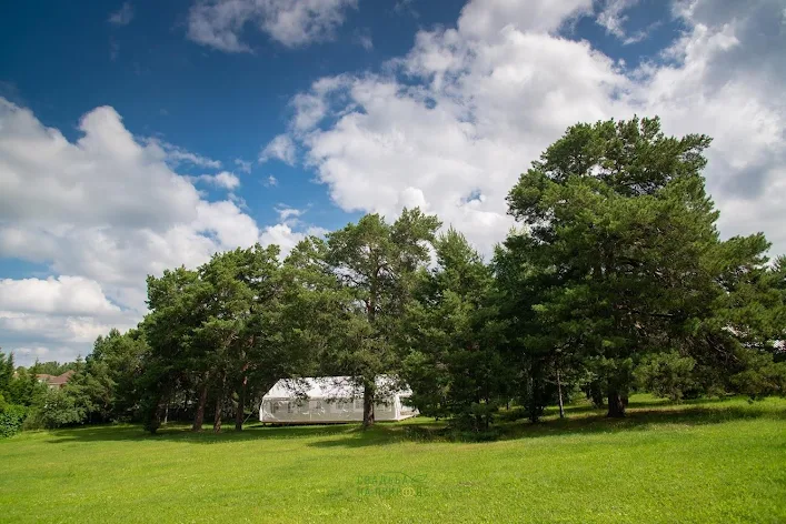 Фото №3 зала Шатер