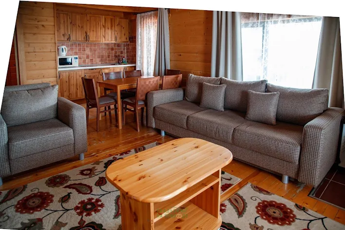 Фото №3 зала Альпийские дома «Южный поселок» 