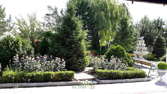 Фото №1 зала Банкетный зал «Санторини» 