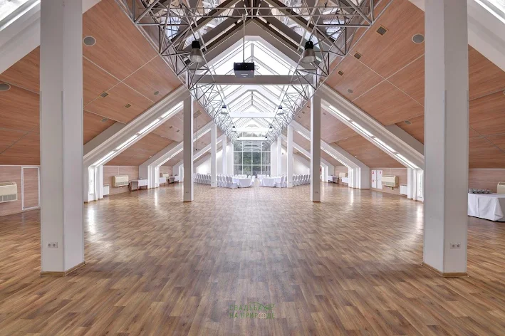 Фото №4 зала Зал «Парламент» 