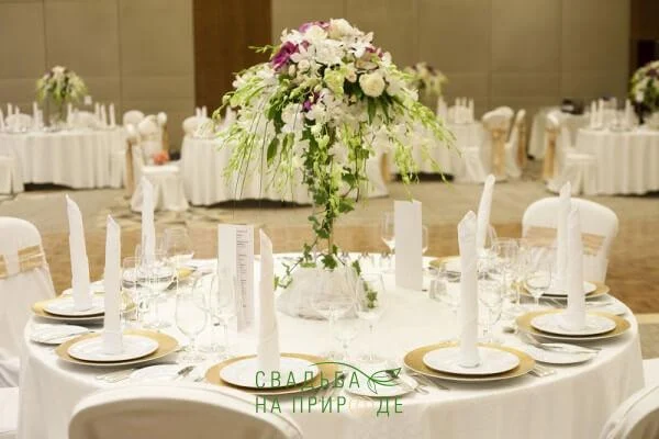 Фото №2 зала Зал «Галантус» 