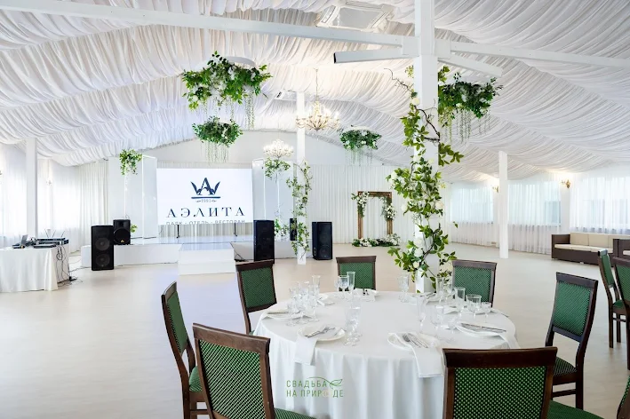 Фото №1 зала Зал «Аэлита» 