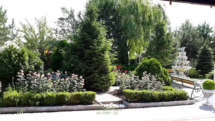 Фото №3 зала Банкетный зал «Санторини» 