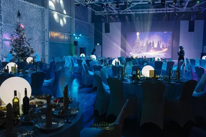 Фото №1 зала Зал «Калуга» 