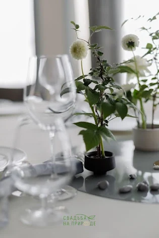 Фото №2 зала Банкет-холл сити