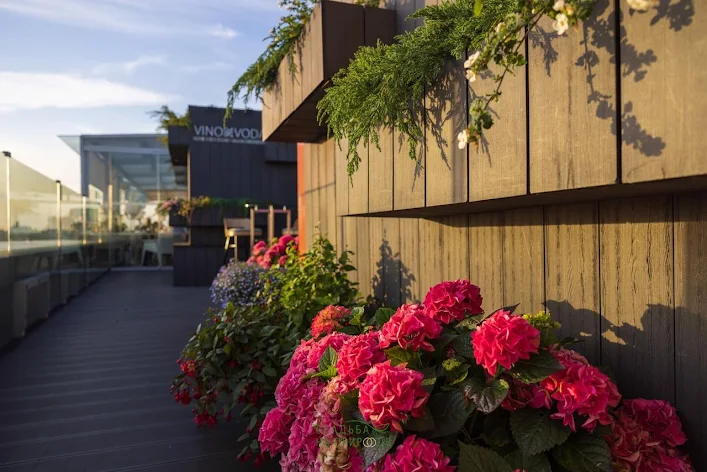 Фото №1 зала Терраса «Вино и вода» 