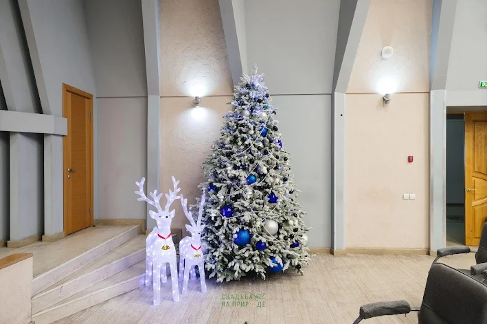 Фото №4 зала Зал «Академический» 